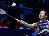 IM竞技体育平台-法国队力克印尼队，戴资颖关键制胜的简单介绍