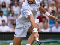 IM竞技-戴维斯杯鏖战美网，德约科维奇扛起全队的简单介绍