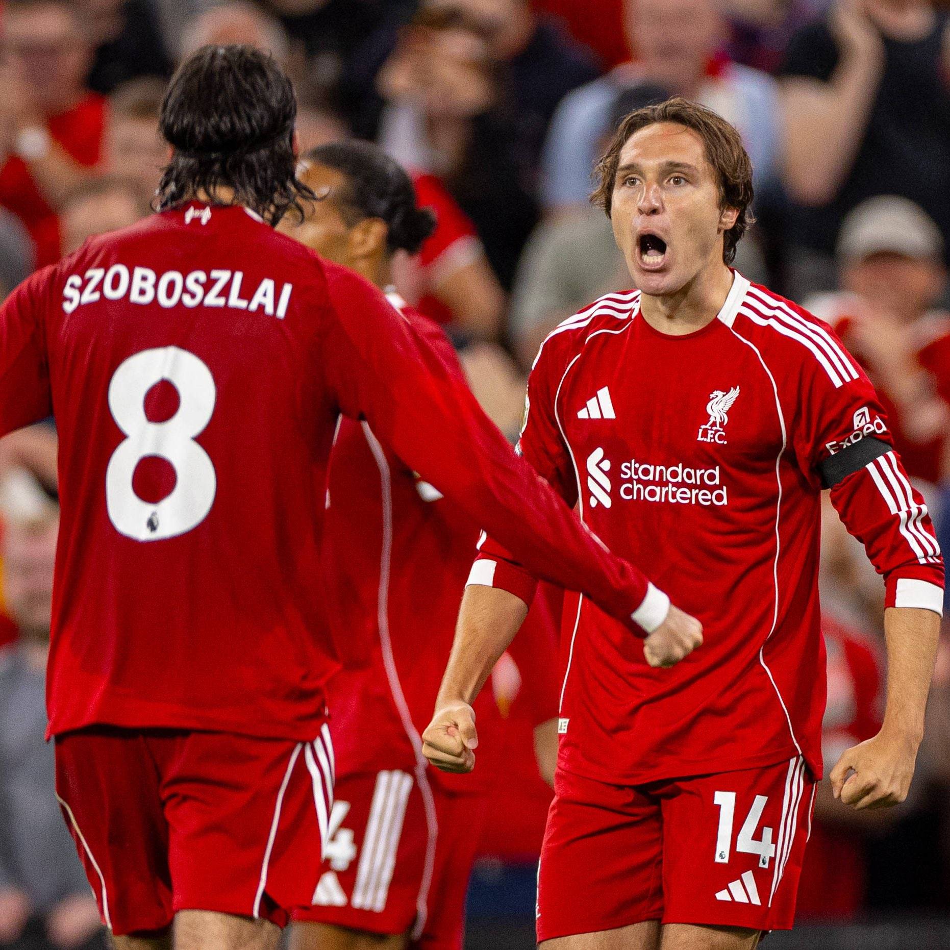 包含曼联击败卡迪夫城，英超欧战前景看涨的词条