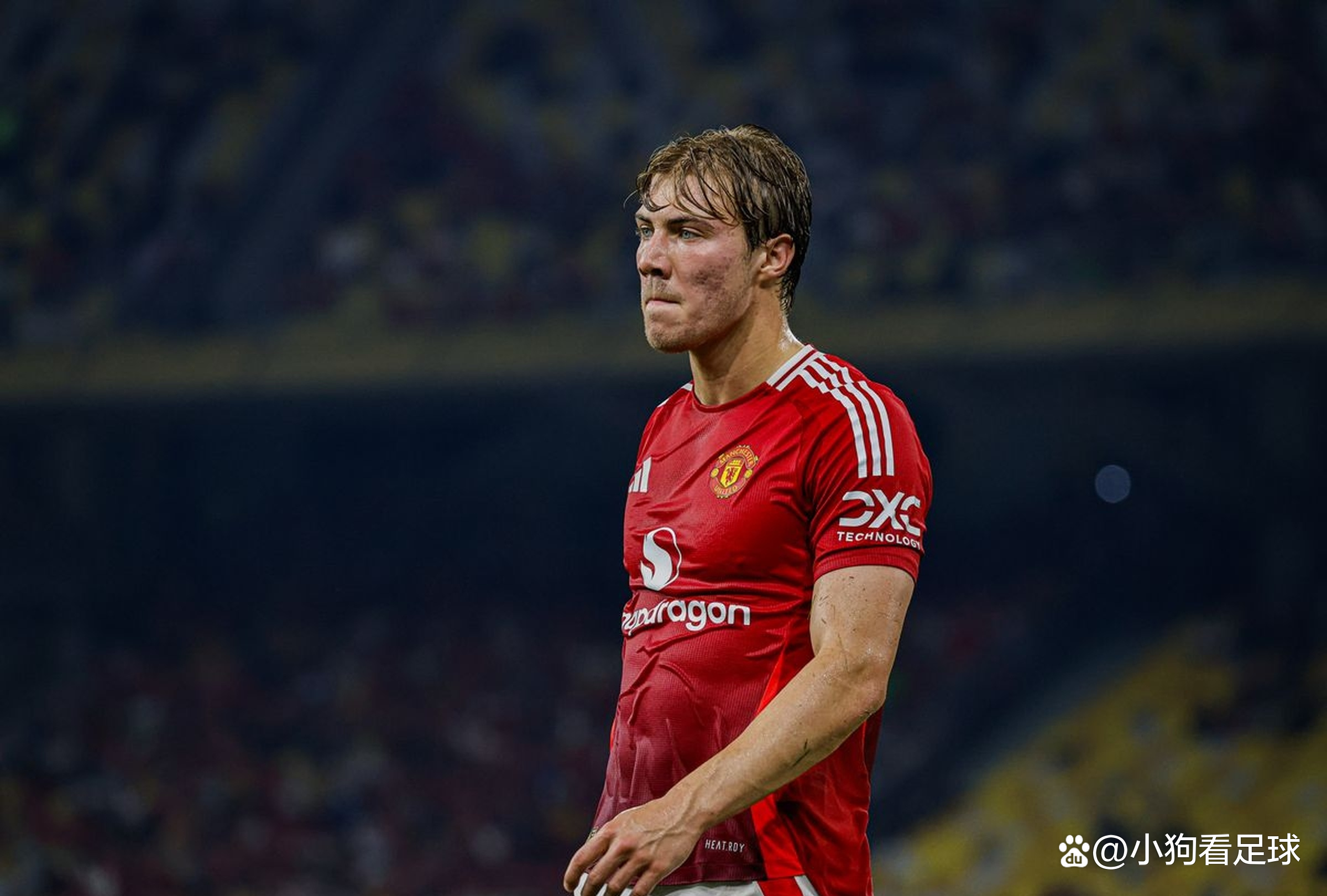 包含意甲球员伤情趋紧,战力有待调整的词条 包含意甲球员伤情趋紧,战力有待调整的词条