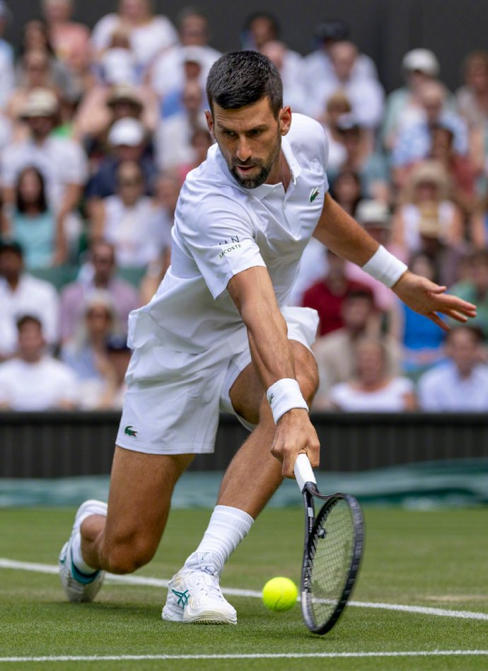 戴维斯杯鏖战美网，德约科维奇扛起全队的简单介绍